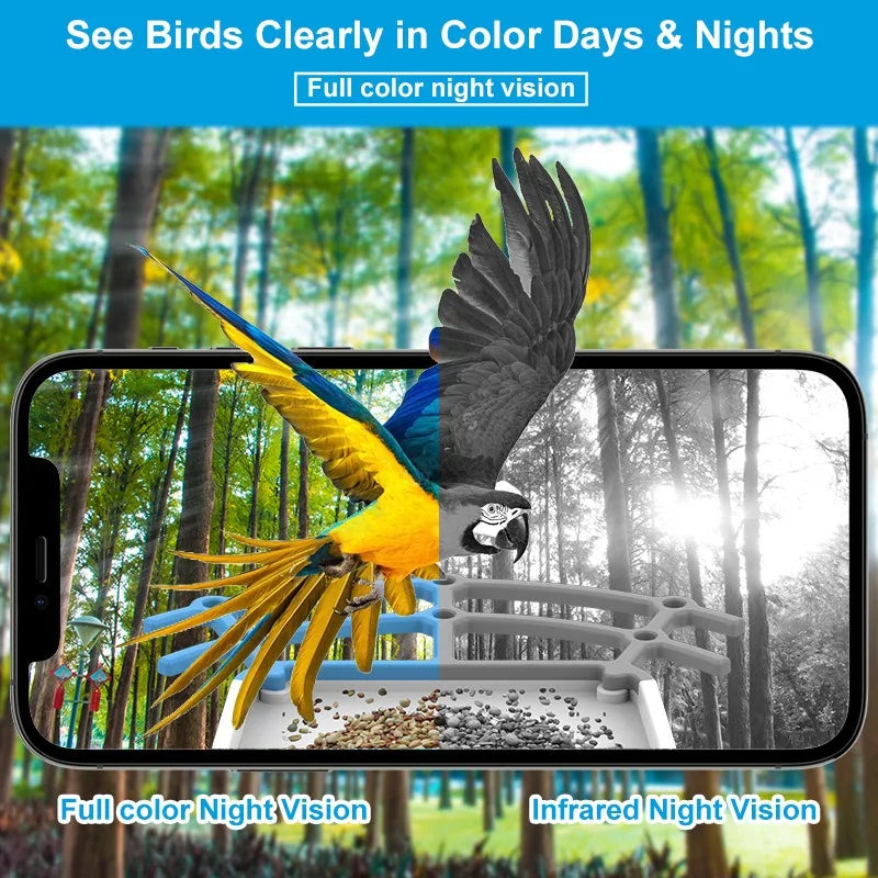 Smart Solar Bird Feeder 4MP HD Camera with AI Detection