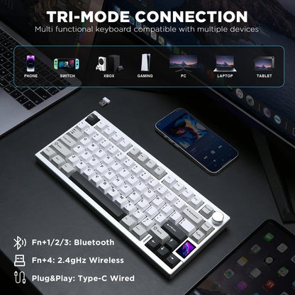 Silver Wireless Mechanical Keyboard Gateron Zero Switches