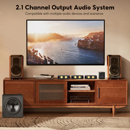 High Power Mono Amplifier 300W TPA3255 with Trigger Input