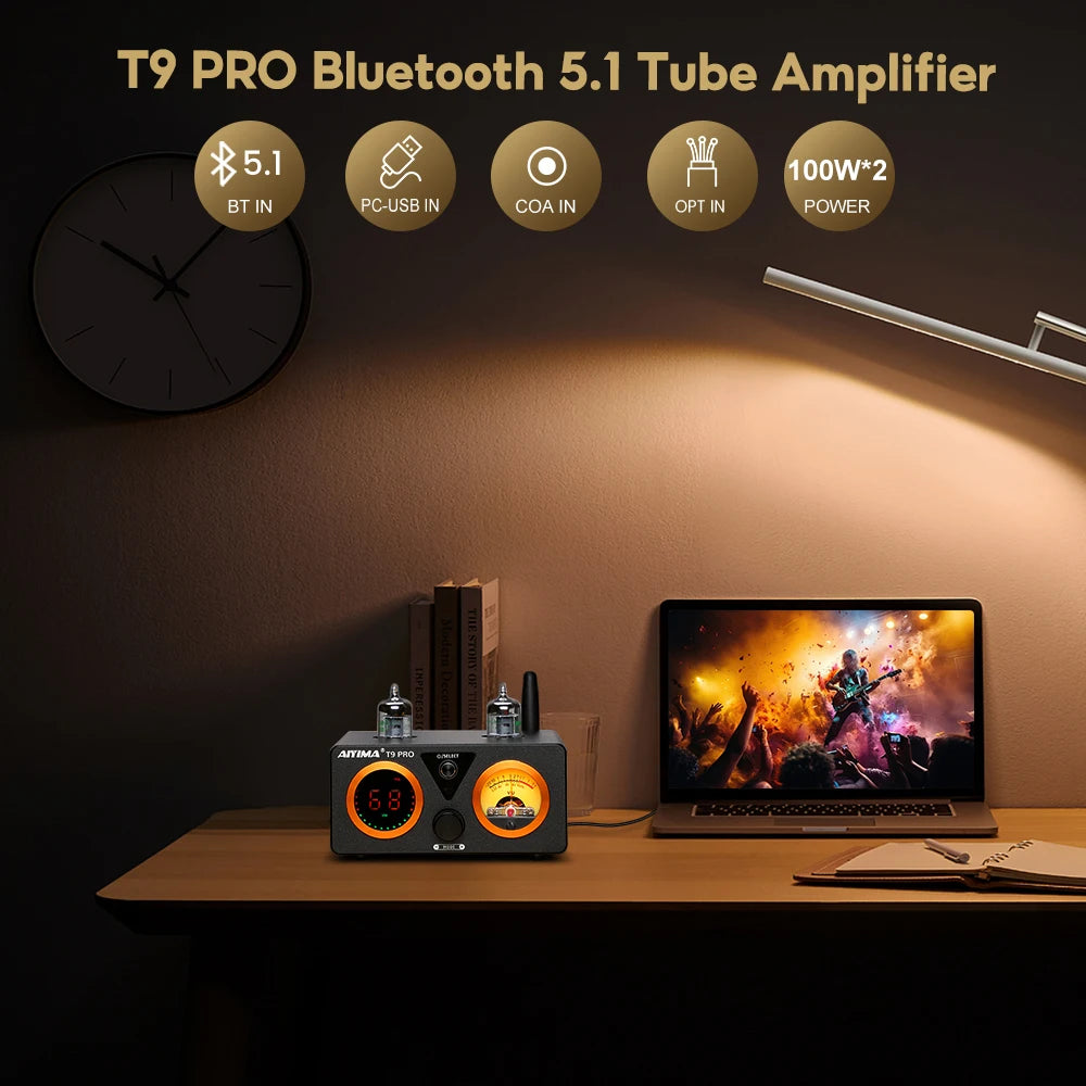 HiFi Bluetooth Tube Amplifier USB DAC and VU Meters 24V