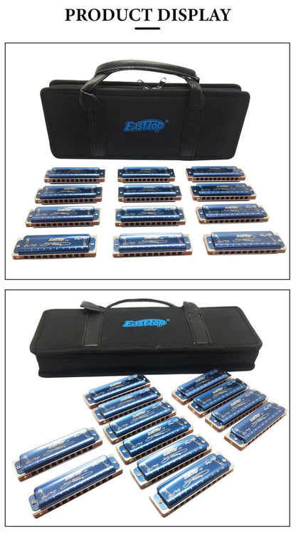 12-Piece Diatonic Blues Harmonica Set 10-Hole 12 Keys