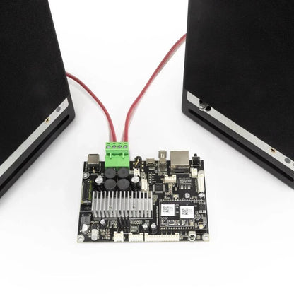 Multiroom WiFi Stereo Amp Board with Remote and DAC