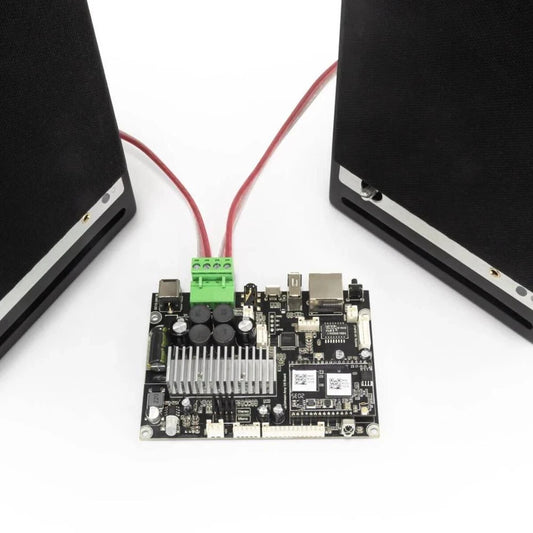 Multiroom WiFi Stereo Amp Board with Remote and DAC