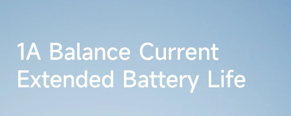 100A 8-24S Battery Management System with 3LCD