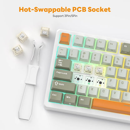 Wireless 75% RGB Mechanical Keyboard Fast Silver Switch