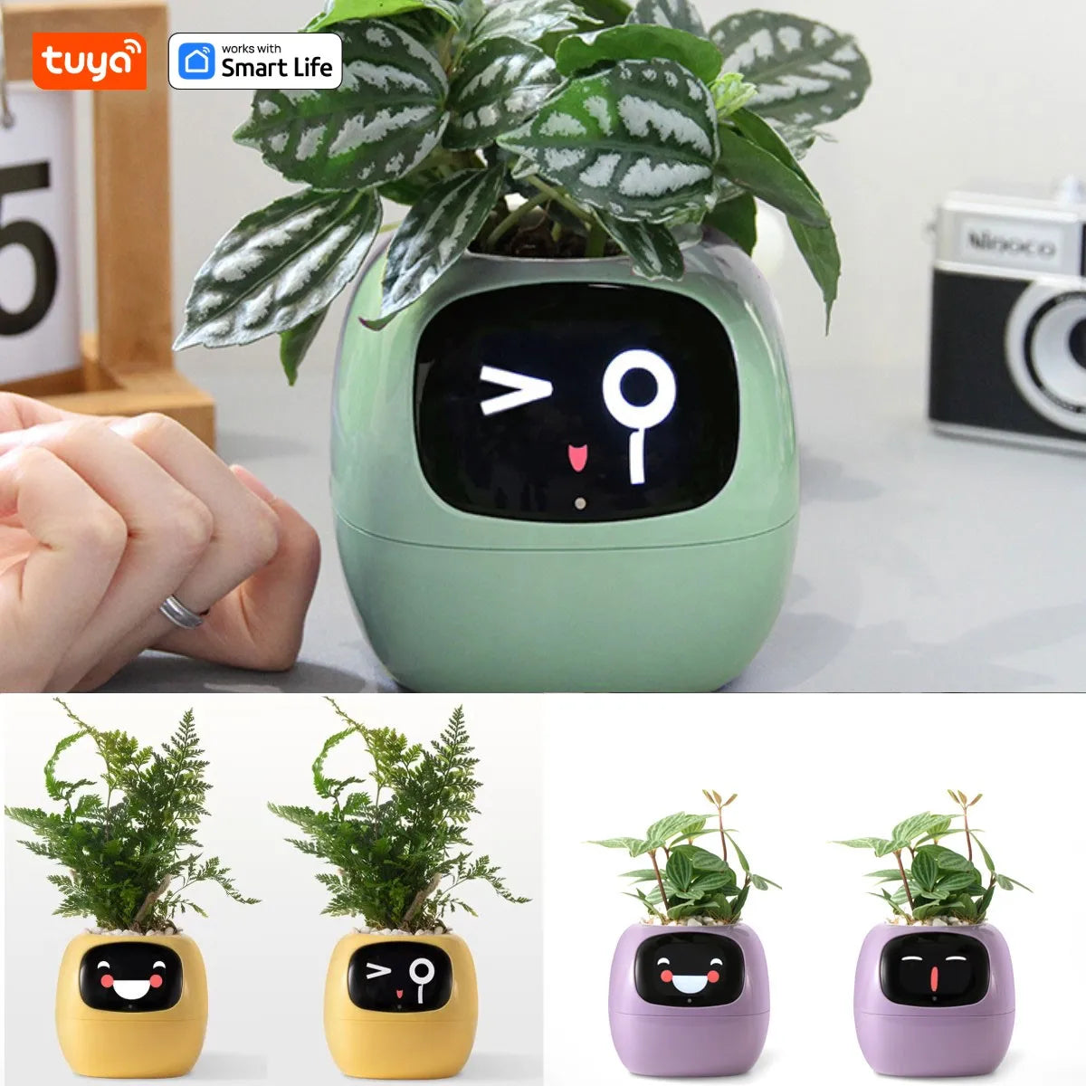 Smart Plant Pot with AI 49 Expressions and 7 Sensors
