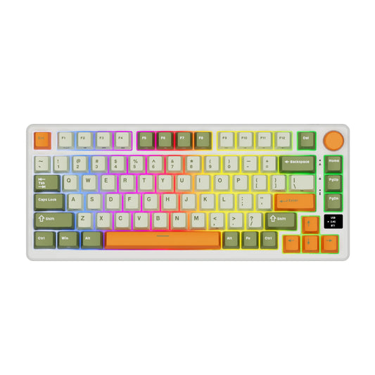 Hot-Swap RGB Mechanical Gaming Keyboard Fast Silver Switch