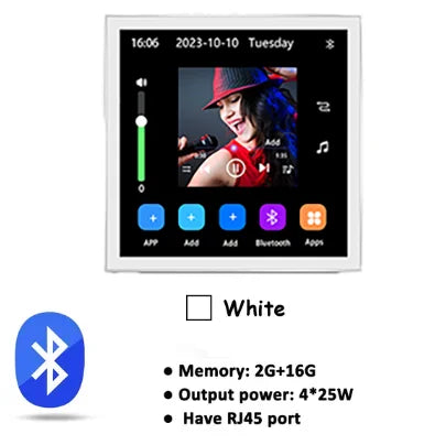 4 Inch Rechargeable Bluetooth WiFi Stereo Wall Amp