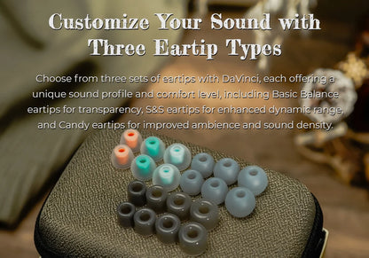 High Fidelity Hybrid In Ear Monitors with Dual Connectors