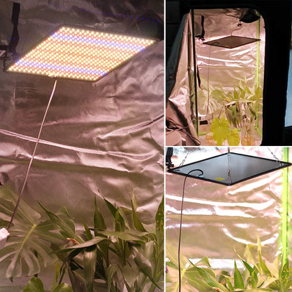 40W Full Spectrum Grow Lights for Indoor Tent Plants 3pcs