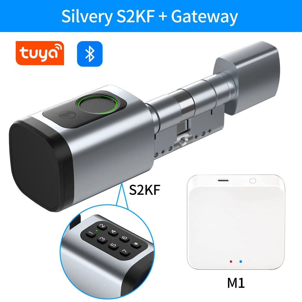 App Controlled Biometric Mortise Lock 30/30
