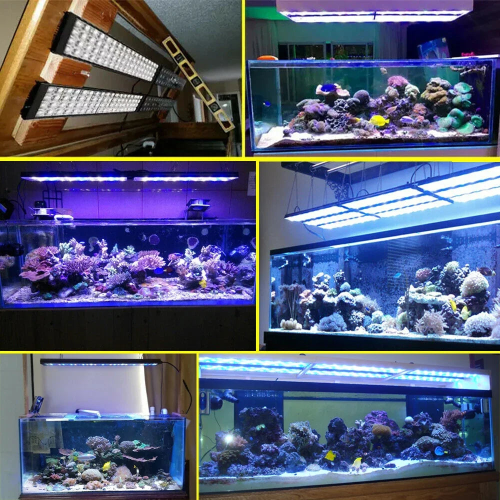 140W Full Spectrum WiFi Reef LED Light 135-160cm