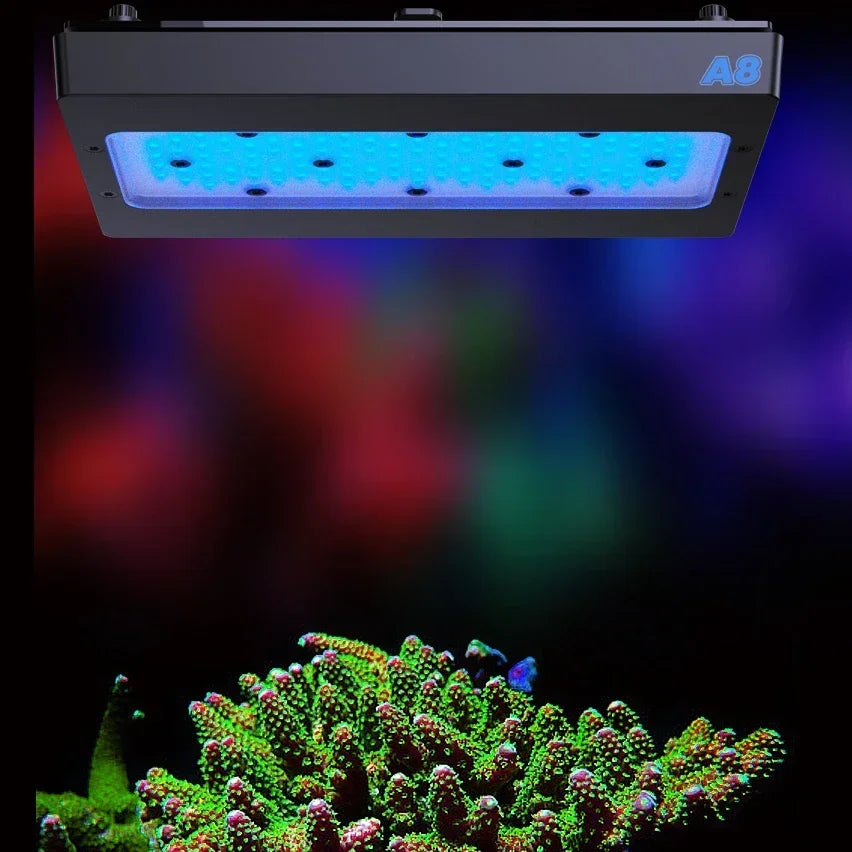 240W LED Aquarium Light Blue SPS LPS with Bracket