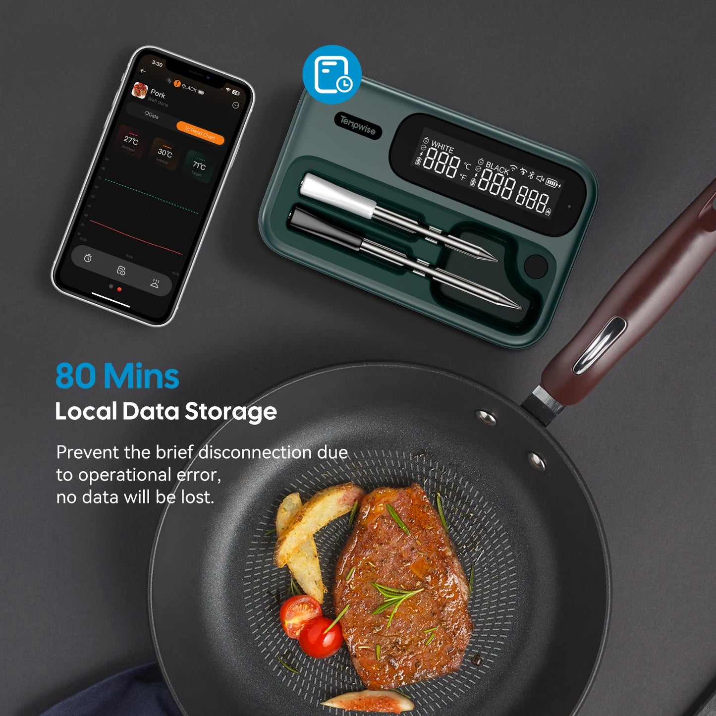 Wireless BBQ Thermometer with App Control and Dual Probes