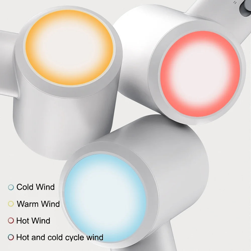 Professional 1600W Fast Drying Hair Dryer with Ionic Care