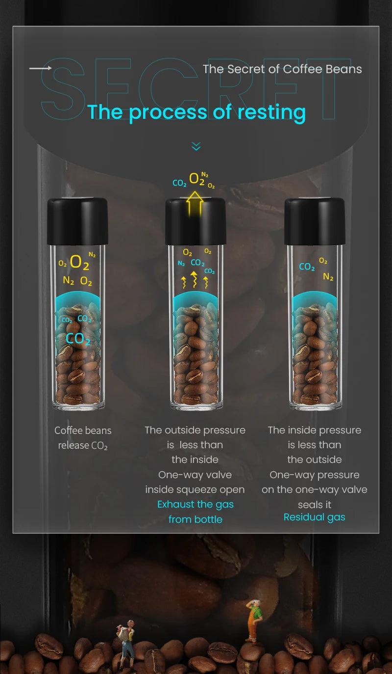 Coffee Bean Cellar Tubes Set with Exhaust Valves and Holder
