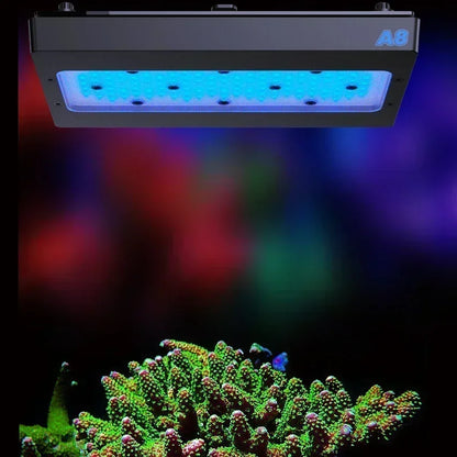 Smart Blue LED Aquarium Light 240W for Coral Reef