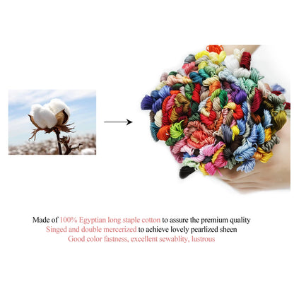447 Colour Embroidery Thread Set Cotton Cross Stitch Floss Kit