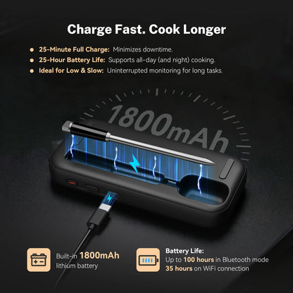 Smart Wireless Meat Thermometer 5 Sensors WiFi Bluetooth IP67
