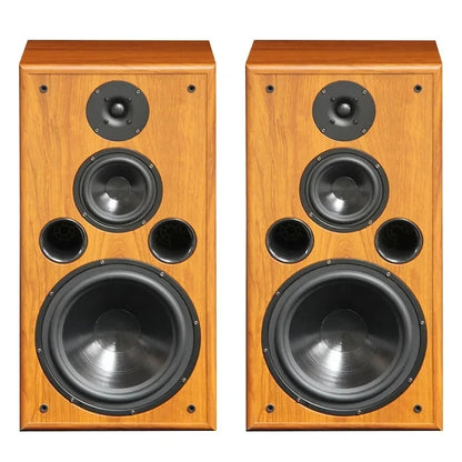 200W 10 Inch Bookshelf Speaker High Bass Silk Tweeter