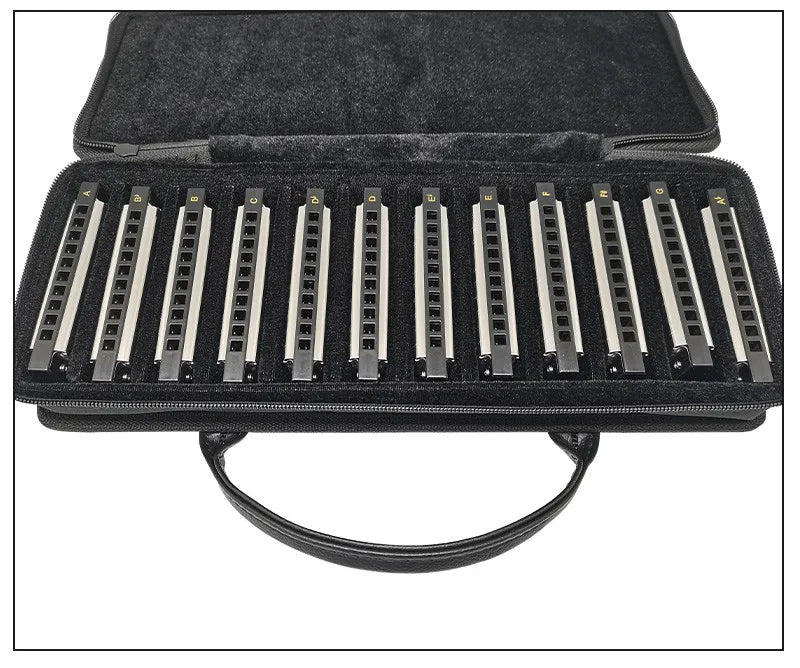 Professional 10-Hole Diatonic Harmonica 12-Key Set with Case