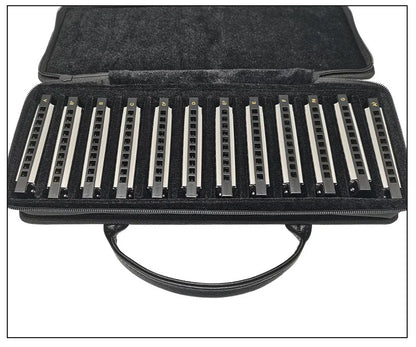 Professional 10-Hole Diatonic Harmonica 12-Key Set with Case