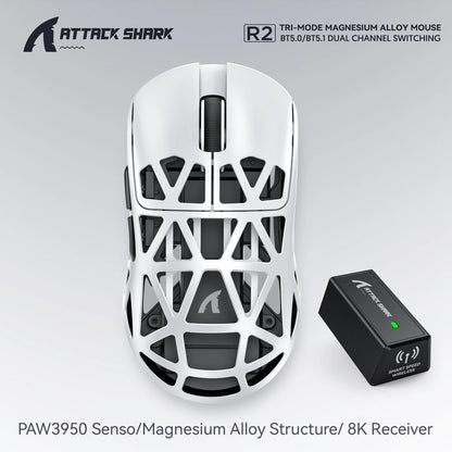 R2 8K Lightweight Gaming Mouse Bluetooth & USB