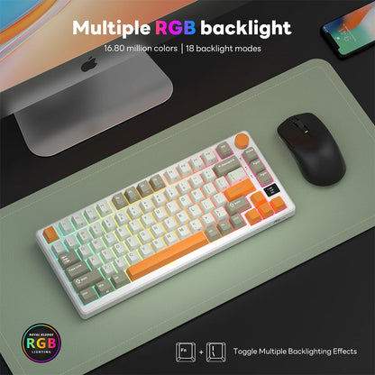 Wireless 75% RGB Mechanical Keyboard Fast Silver Switch