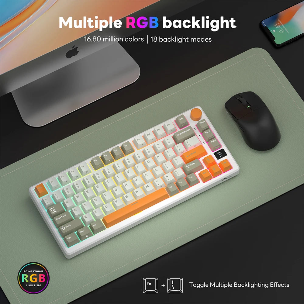 Hot-Swap RGB Mechanical Gaming Keyboard Fast Silver Switch
