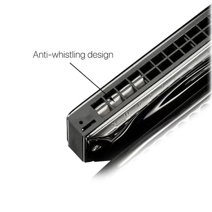Professional 48-Tone Chromatic Harmonica Key of C