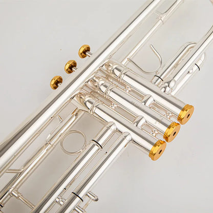 Professional B Flat Silver Plated Trumpet with Case