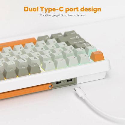 Wireless 75% RGB Mechanical Keyboard Fast Silver Switch