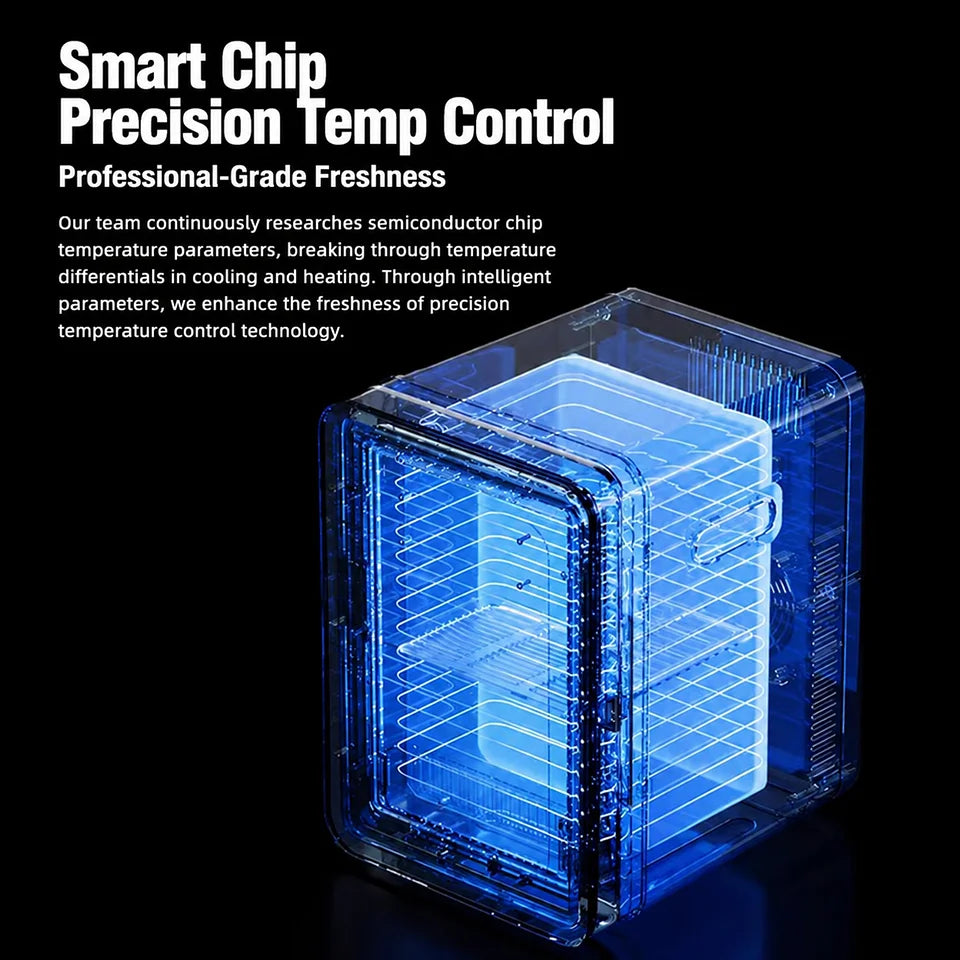 4L Mini Car Fridge Freezer for Car and Home Use