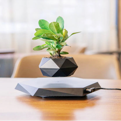 Magnetic Floating Bonsai Pot Black Rotating Desk Planter