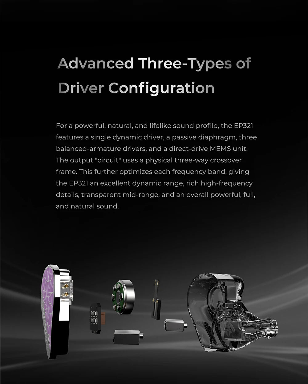 6 Driver Tribrid IEM 4.4mm HiFi Audiophile Earphones
