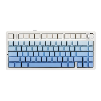 Wireless Mechanical Keyboard Hot-Swap Bluetooth 2.4G Side Print