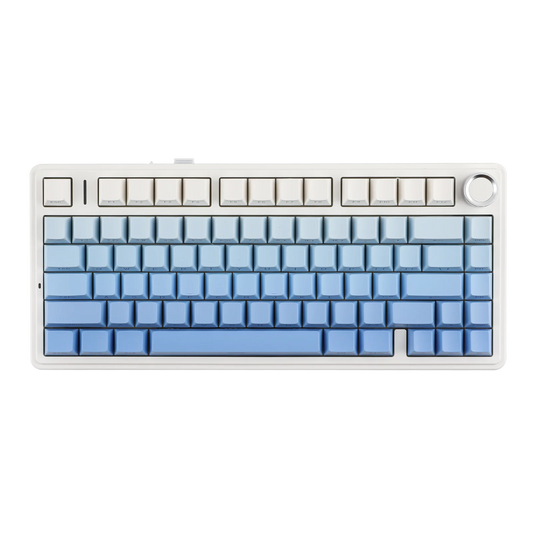 Wireless Mechanical Keyboard Hot-Swap Bluetooth 2.4G Side Print