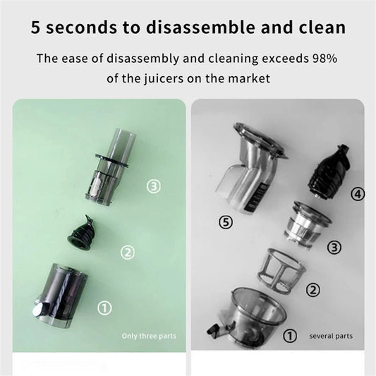 Portable Mini Slow Juicer for Fruit and Vegetable Juicing