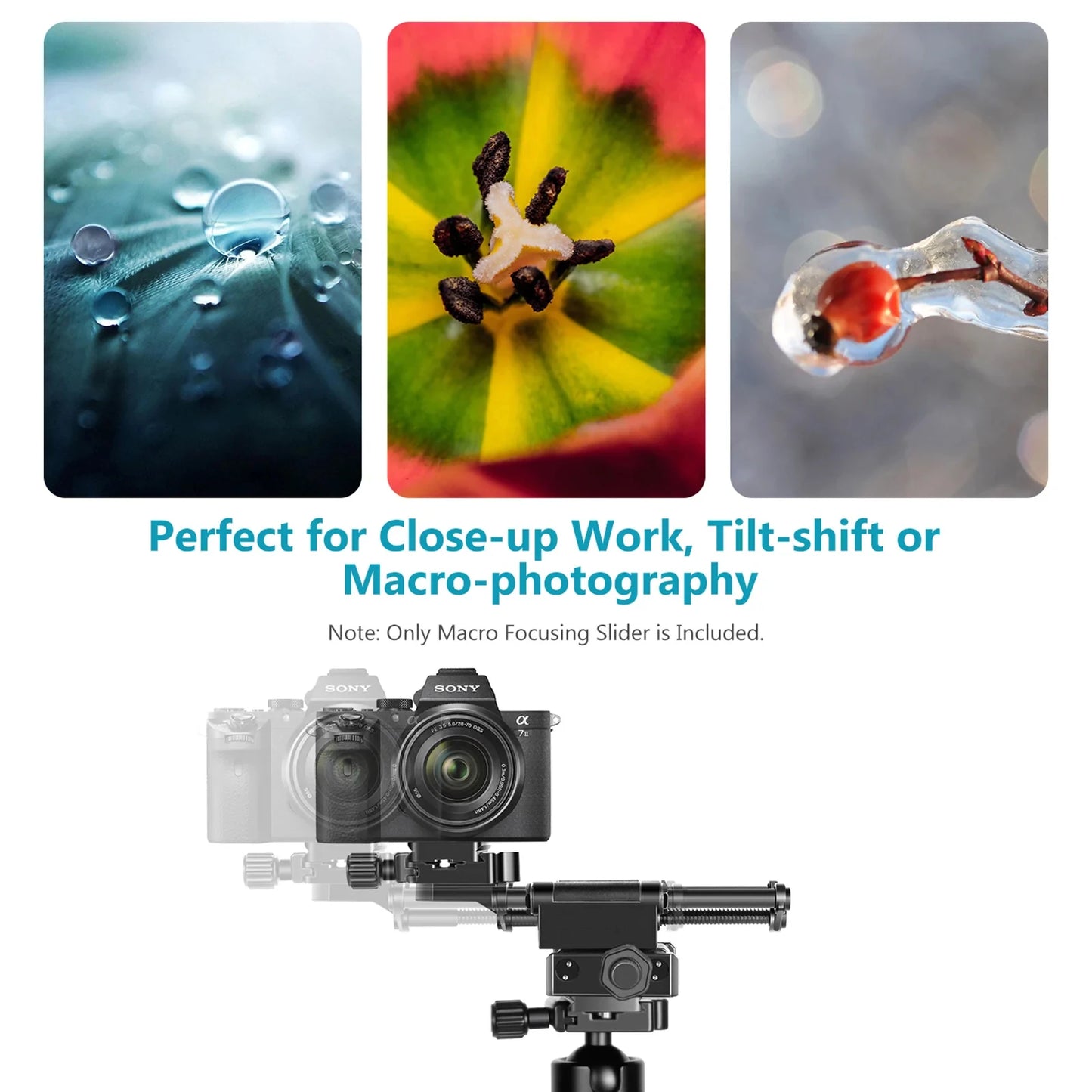 4-Way Macro Focusing Rail Slider with Quick Release Plate
