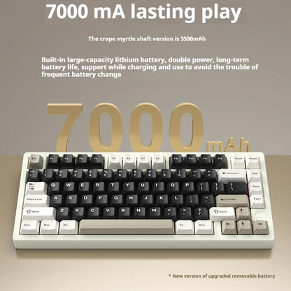 Wireless Mechanical Gaming Keyboard Black-Pro with RGB Backlight