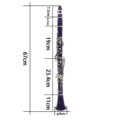 Pink Clarinet with 17 Keys and Accessories
