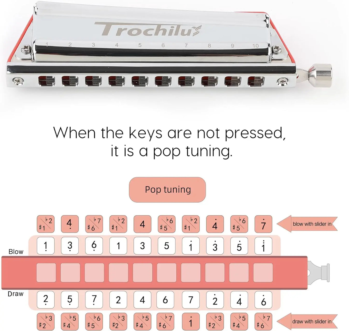 10-Hole Pop Tuning Harmonica Key of C with Case