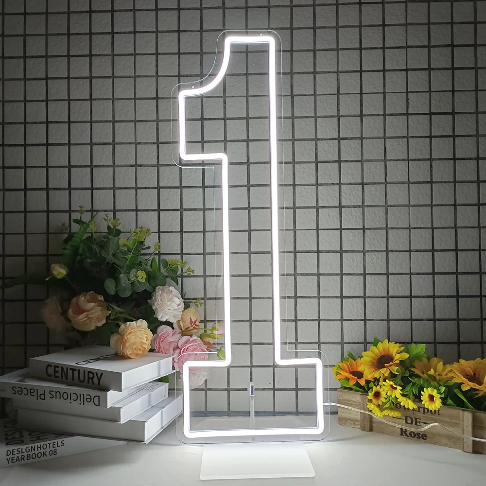 76cm 100cm LED Neon Number Light for Birthday or Wedding