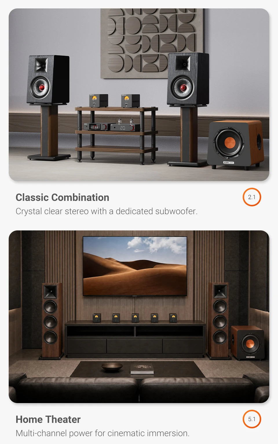 300W Mono Hi-Fi Power Amplifier Class D with XLR Input
