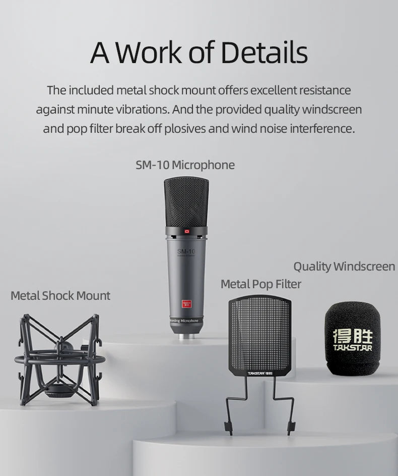 Professional Condenser XLR Microphone for Home Recording