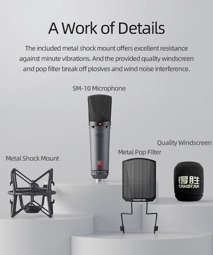 Professional Condenser XLR Microphone for Home Recording