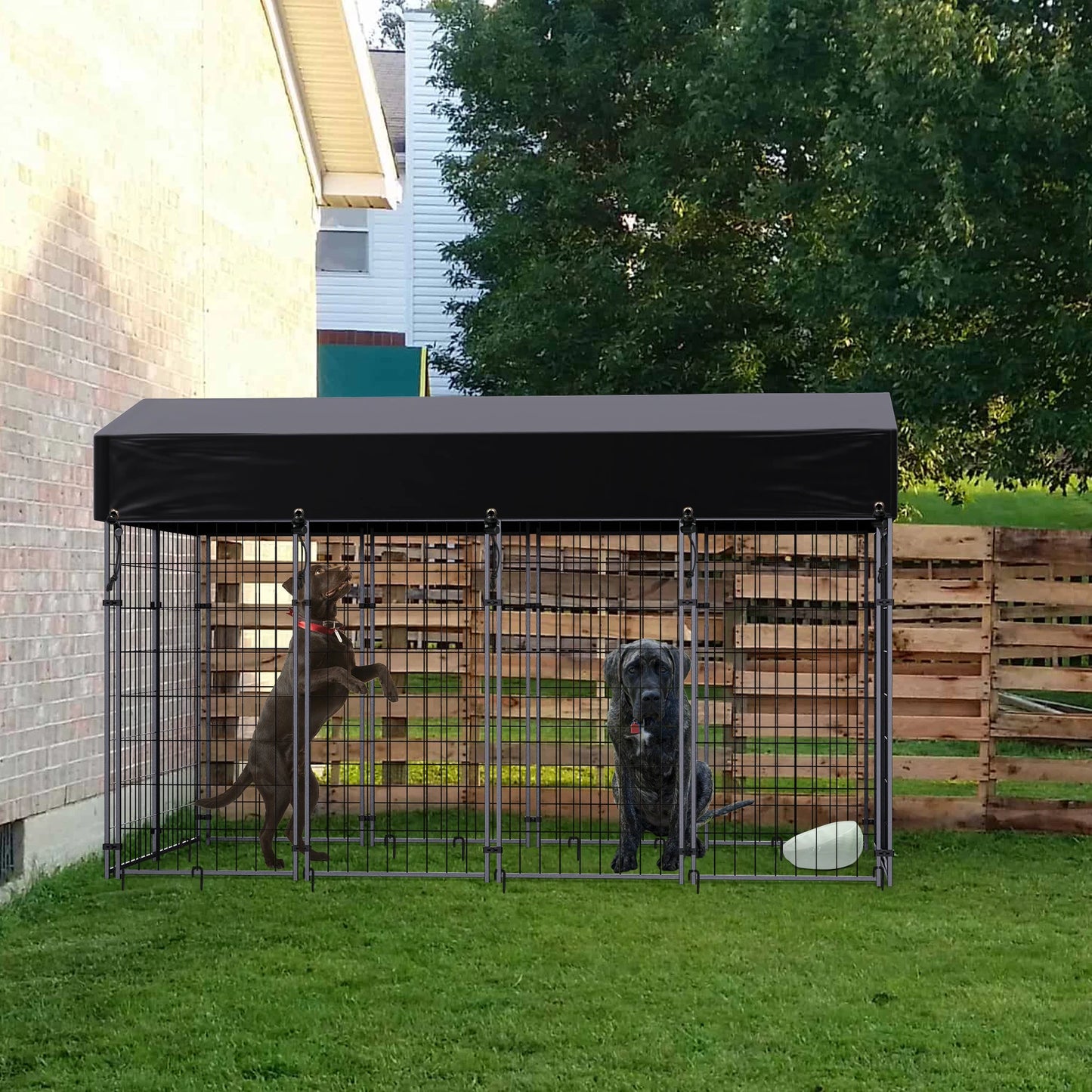 Medium Outdoor Dog Cage S Waterproof Heavy Duty Kennel