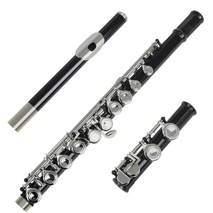 Closed Hole Flute Set for Professional Musicians
