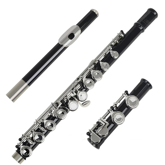 Closed Hole Flute Set for Professional Musicians