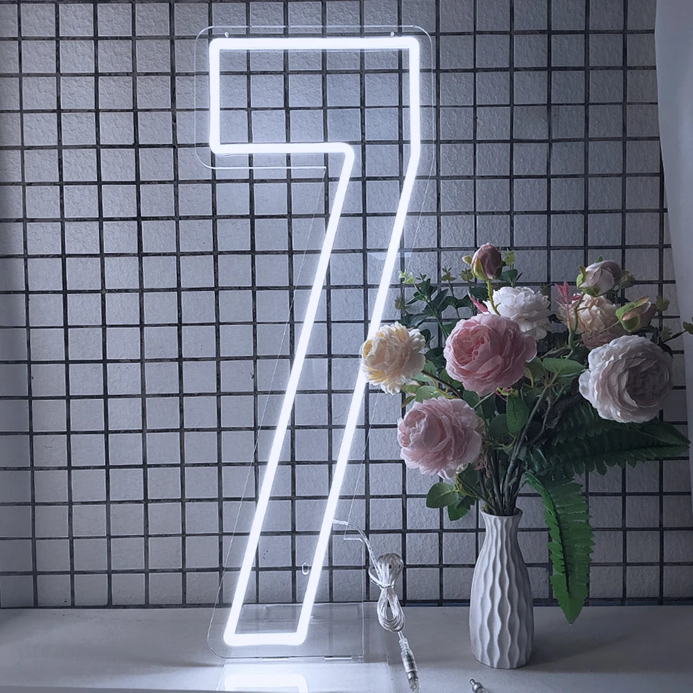 76cm 100cm LED Neon Number Light for Birthday or Wedding
